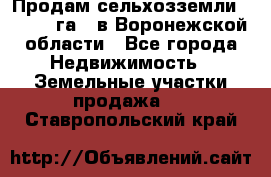 Продам сельхозземли ( 6 000 га ) в Воронежской области - Все города Недвижимость » Земельные участки продажа   . Ставропольский край